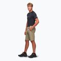 Herren-Trekking-Shorts Alpinus Terminio oliv 2