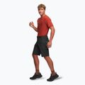 Herren-Trekking-Shorts Alpinus Terminio schwarz 2