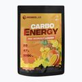 Carbo Energy MONDOLAB Kohlenhydrate 1kg tropische Früchte MND012
