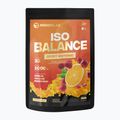 Isotonisches Getränkepulver MONDOLAB Balance Bitter Cranberry Punch 1kg Orange-Cranberry MND007