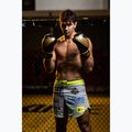 Boxhandschuhe DBX BUSHIDO "HAWK" Active Clima schwarz-gold B-2v17 11