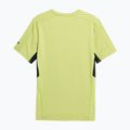 Herren Trainings-T-Shirt 4F grün 4FSS23TFTSM404-45S 2