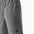 Herren-Shorts 4F M299 kalt hellgrau melange 2