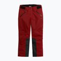 Herrenskihose 4F M343 dunkelrot 8