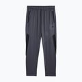 Herrenhose 4F M351 dunkel/grau