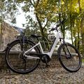 Ecobike LX300 Greenway Elektrofahrrad weiß 1010306 19