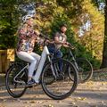 Ecobike LX300 Greenway Elektrofahrrad weiß 1010306 23