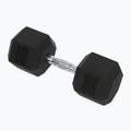 Kurzhanteln XTREXO Hex HXD250 25 kg