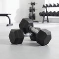 Kurzhanteln XTREXO Hex HXD250 25 kg 3