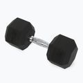 Kurzhanteln XTREXO Hex HXD200 20 kg