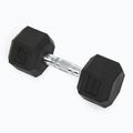 Kurzhanteln XTREXO Hex HXD100 10 kg