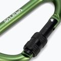 Salewa D-Shape Carbiner mit Schraube grün 00-0000034102 3