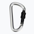Salewa D-Shape Carbiner mit Schraube grau 00-0000034102 2
