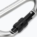 Salewa D-Shape Carbiner mit Schraube grau 00-0000034102 3