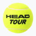 HEAD Tour Tennisbälle 4 Stk. 2