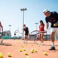 HEAD Tour Tennisbälle 4 Stk. 6