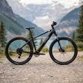 ATTABO E-ALPE 2.0 29" Elektrofahrrad 36V 14.5Ah 504Wh schwarz 3