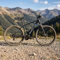 ATTABO ALPE 2.0 29" Herren-Mountainbike schwarz 3