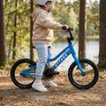 Kinderfahrrad ATTABO EASE 14" blau 6