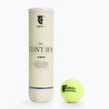 Tennisbälle Tretorn Serie+ Control New Logo 72 Stk