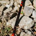 Verstellbare Trekkingstöcke KADVA Tengri rot 13
