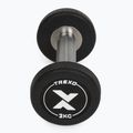 Gummierte Gusseisenhantel XTREXO Pro 2 kg black 6