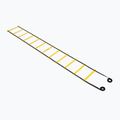 Koordinationsleiter OneTeam S-AG LADDER 6M yellow 7