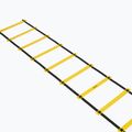 Koordinationsleiter OneTeam S-AG LADDER 6M yellow