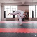 Matte Hook Fighting Puzzle Tatami blue 3