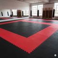 Matte Hook Fighting Puzzle Tatami blue 4