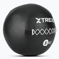 TREXO Wall Ball 5 kg schwarz 2