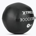 TREXO Wall Ball 7 kg schwarz 2
