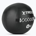 XTREXO Wall Ball 12 kg schwarz 3
