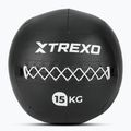 TREXO Wall Ball 15 kg schwarz