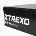 Klappbare Plyometriekiste TREXO 15 cm schwarz 3