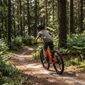 Kinderfahrrad ATTABO Rash 24" 11,4 kg Gen 2 orange 3