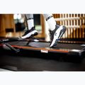 TREXO Walking Pad W150 elektrisches Laufband schwarz 8