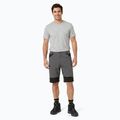 Herren-Shorts KADVA TerraLine gray 4