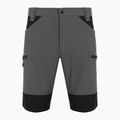 Herren-Shorts KADVA TerraLine gray 5