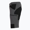Herren Shorts KADVA TerraLine grau 7