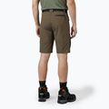 Herren-Shorts KADVA Seto brown 2