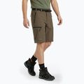 Herren-Shorts KADVA Seto brown 3