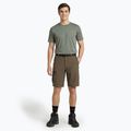 Herren-Shorts KADVA Seto brown 4