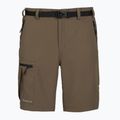 Herren-Shorts KADVA Seto brown 7