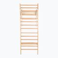 Sprossenwand mit Klimmzugstange XTREXO LW100 wooden 2