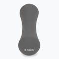 XTREXO Neopren-Hantel TX0-B4M007 0,5 kg grau 3