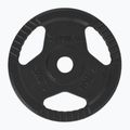 TREXO Gusseisen Gewicht TRX-ICP002 2,5 kg Chrom 2