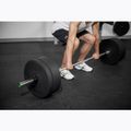 Olympischer Greif TREXO TX-OBB220 grau 6