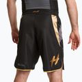 Herren-Trainingsshorts HOOK FIGHTING Ready To Spar schwarz 3