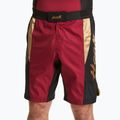 Herren-Trainingsshorts HOOK FIGHTING Ready To Spar rot